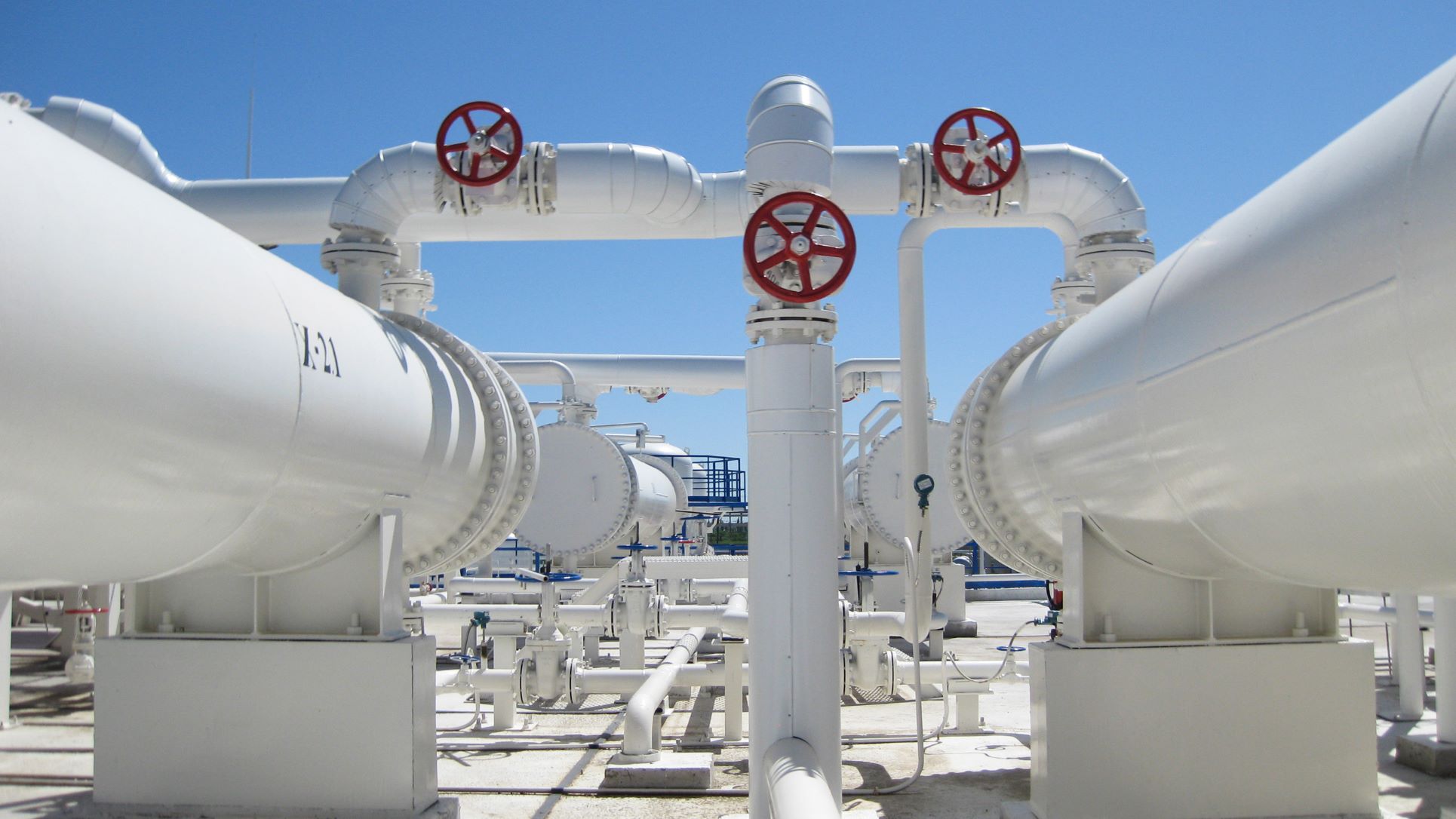 威客电竞(vkgame)-为竞技而生